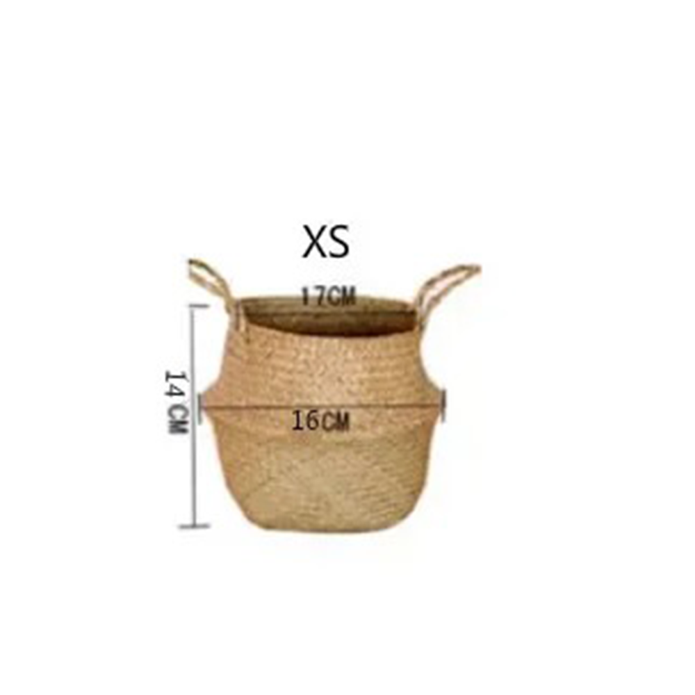 Cesto Appeso In Vimini E Alghe Marine