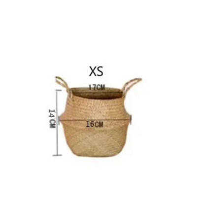 Cesto Appeso In Vimini E Alghe Marine