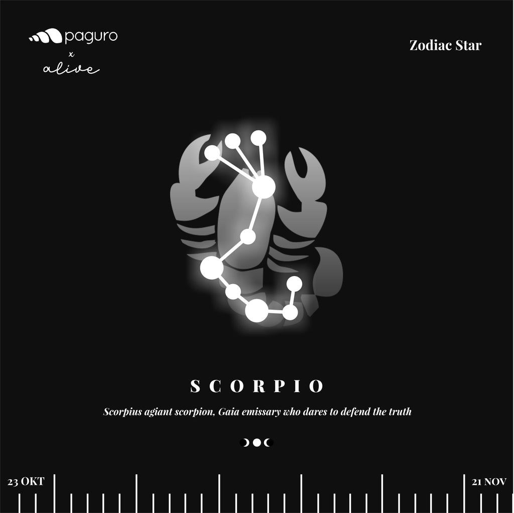 Scorpio Zodiac Sign Sustainable Necklace-3