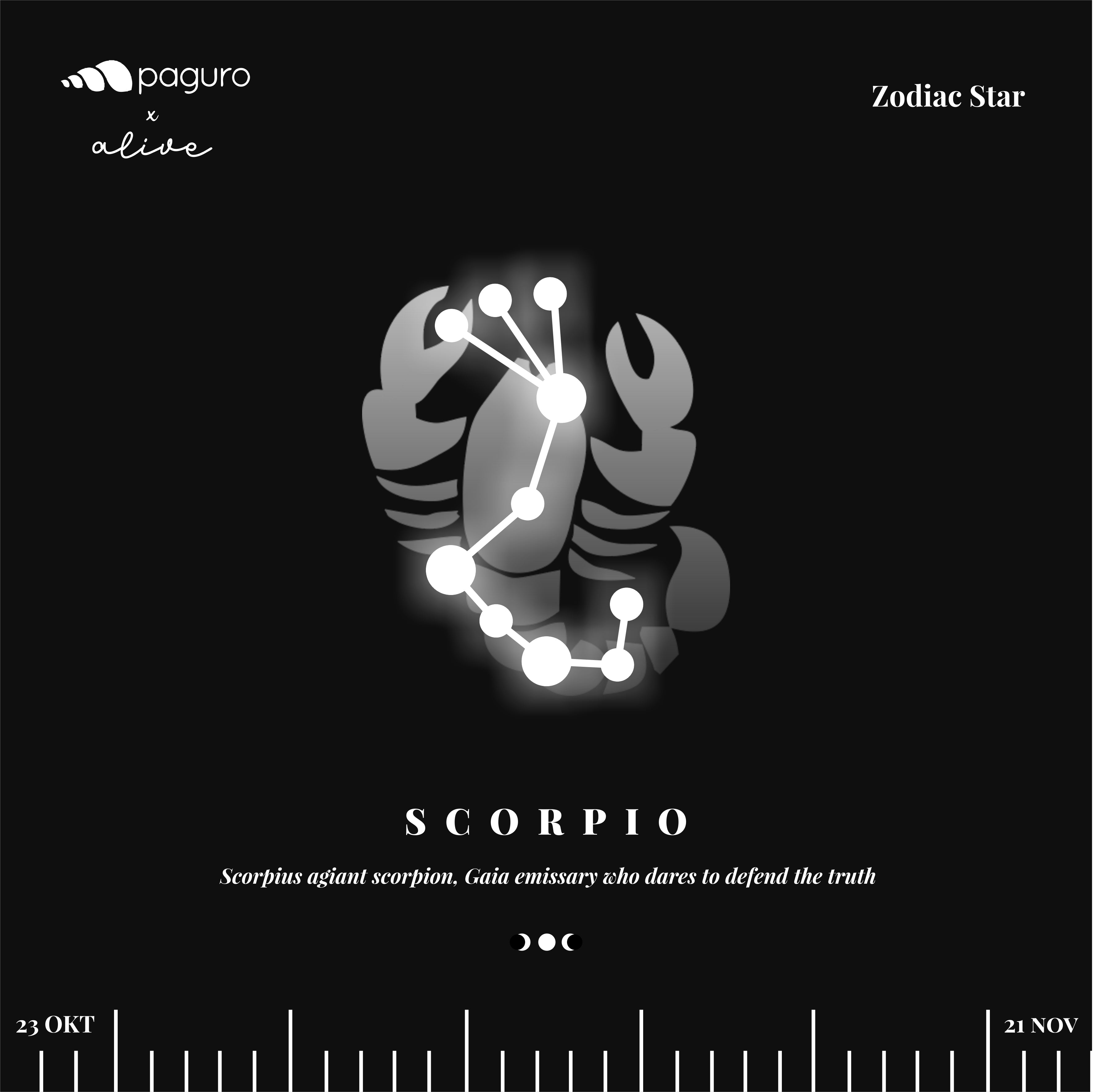 Scorpio Zodiac Sign Sustainable Necklace-3